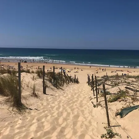 Дом отдыха Near Beaches